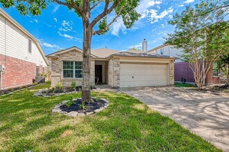 17338 Turquoise Stream Dr in Houston, TX - Foto de edificio - Building Photo