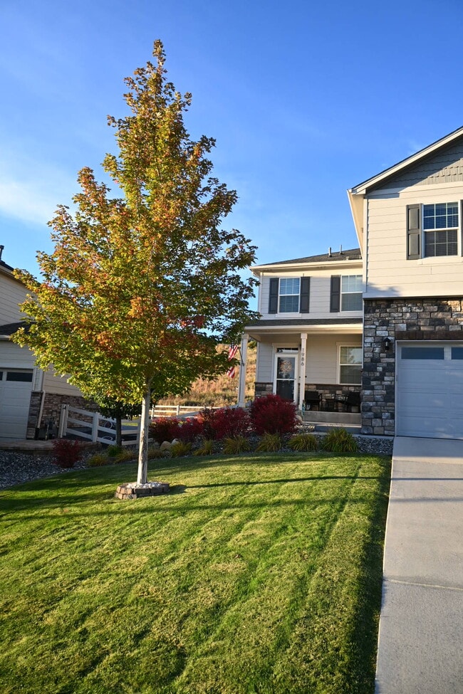 1986 Shadow Creek Dr in Castle Rock, CO - Building Photo - Building Photo