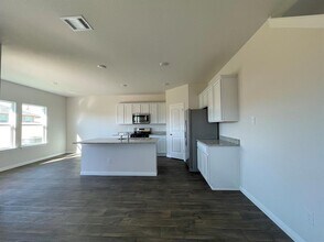 149 Alamo Vine Ct in Kyle, TX - Building Photo - Building Photo