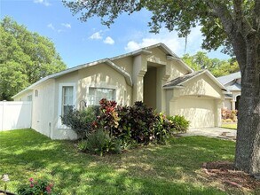 10478 Lucaya Dr in Tampa, FL - Building Photo - Building Photo