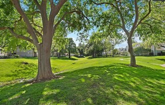 7551 Maywood Dr in Pleasanton, CA - Building Photo