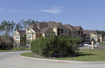 Mansions at Turkey Creek in Humble, TX - Foto de edificio - Building Photo