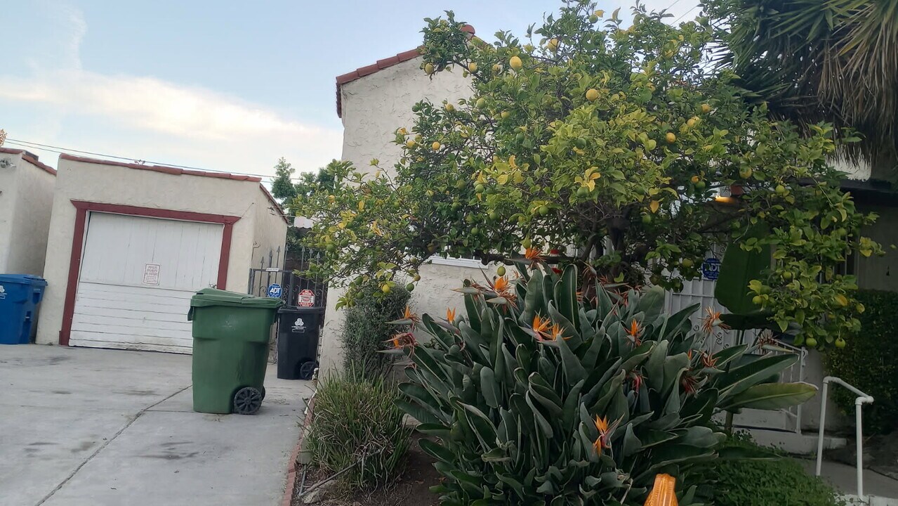 7967 Clinton St in Los Angeles, CA - Building Photo