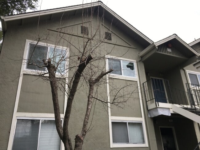 776 Santa Alicia Dr in Rohnert Park, CA - Building Photo - Building Photo