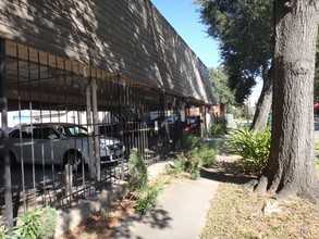 Sulross Garden in Houston, TX - Foto de edificio - Building Photo