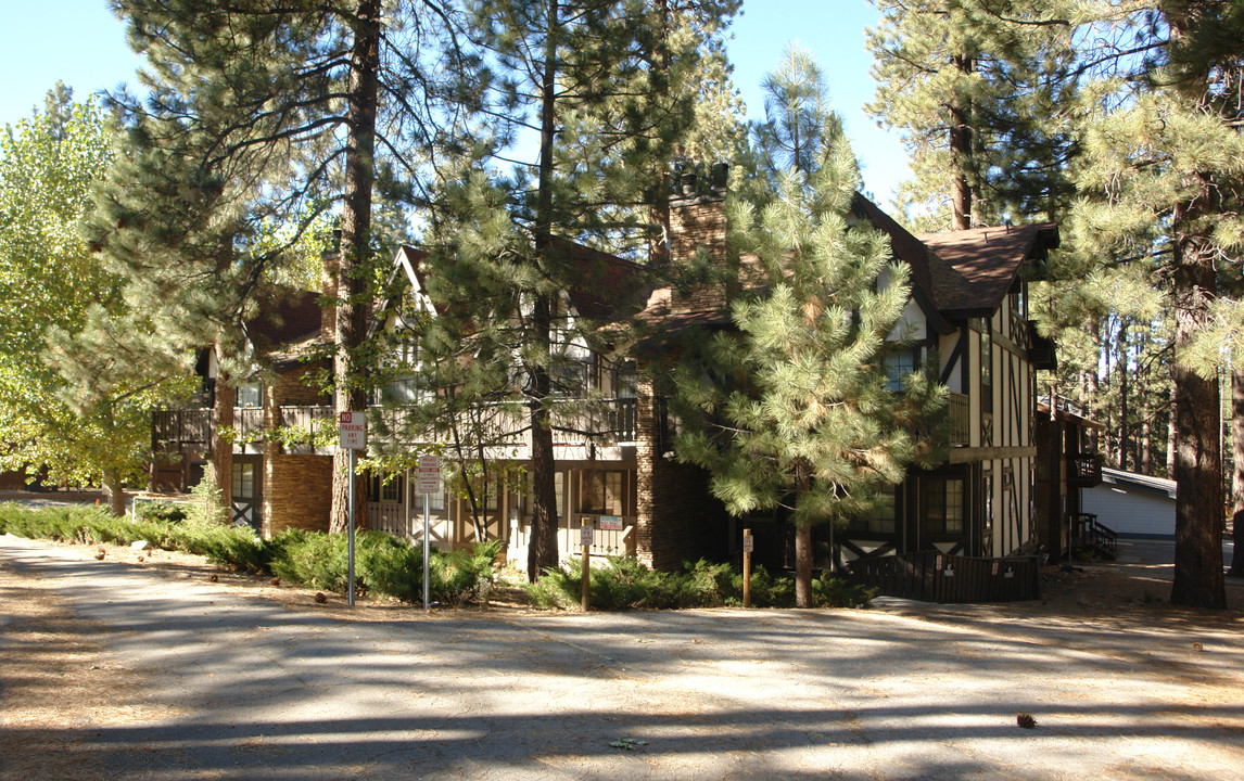 41896 Switzerland Dr in Big Bear City, CA - Foto de edificio