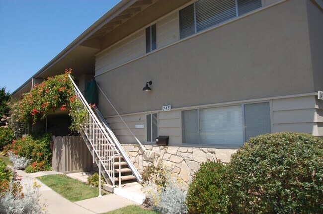 property at 245 Moreton Bay Ln