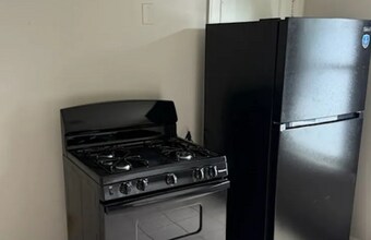 10024 S Lafayette Ave in Chicago, IL - Building Photo - Building Photo