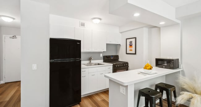 1355 N Lake Shore Dr in Chicago, IL - Building Photo - Building Photo