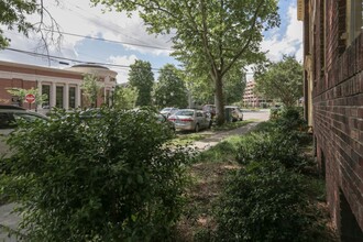 1003 Colley Ave, Unit Floor 1 in Norfolk, VA - Foto de edificio - Building Photo