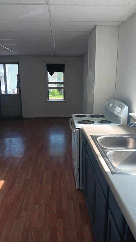 420 East Ave in Mount Carmel, PA - Building Photo - Building Photo