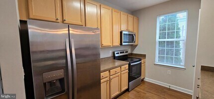 42496 Mayflower Terrace in Ashburn, VA - Building Photo - Building Photo