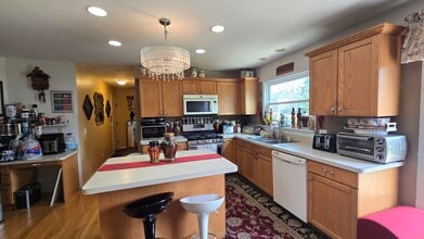 1925 Danube Way in Bolingbrook, IL - Building Photo - Building Photo