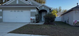 3407 Summer Bay Way in Valrico, FL - Building Photo