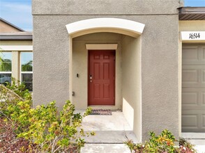 16514 Delia St in Wimauma, FL - Building Photo - Building Photo