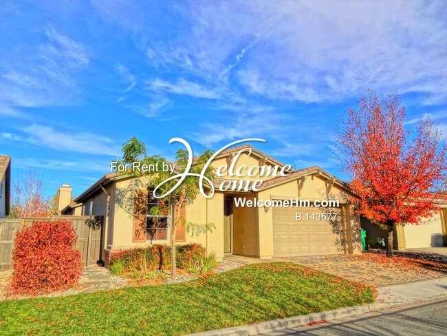 481 Miesque Ct in Reno, NV - Building Photo - Building Photo