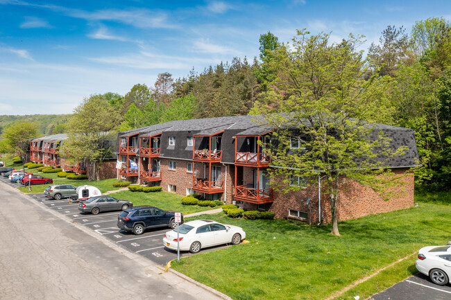 Mountain Shadow Apartments photo'