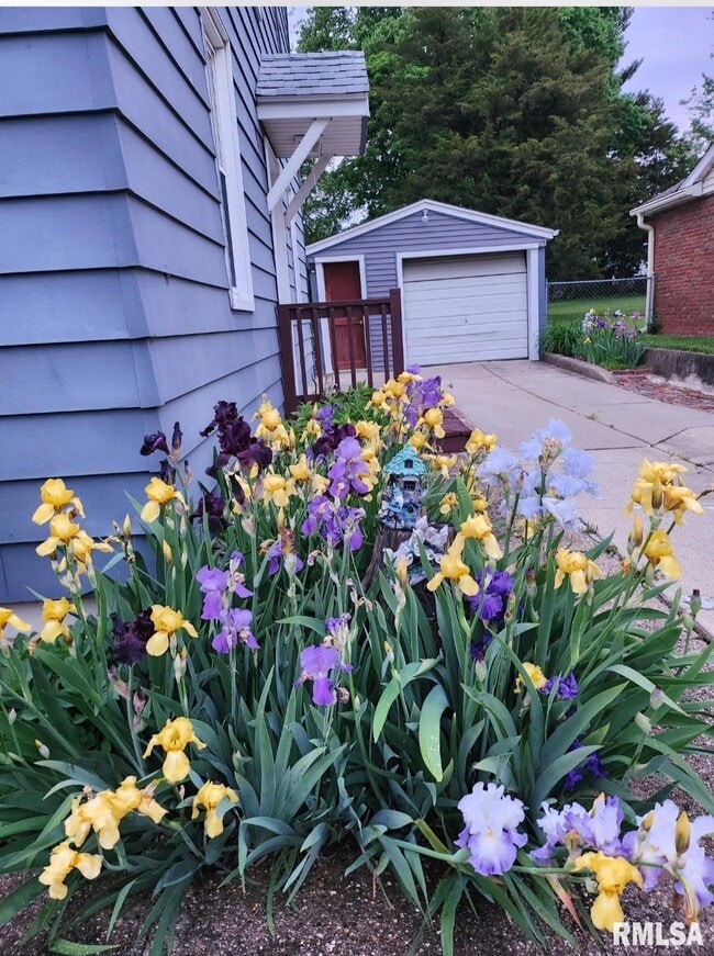 815 Morris St in Washington, IL - Building Photo - Building Photo