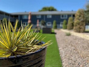 4950 Live Oak St in Dallas, TX - Building Photo - Building Photo