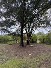 188 Co Rd 198 in Oxford, MS - Foto de edificio - Building Photo