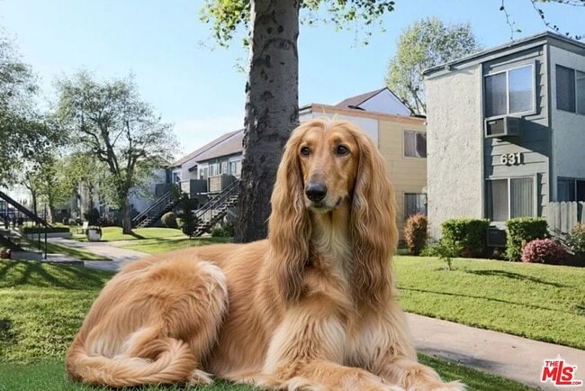 property at 631 N Bristol St