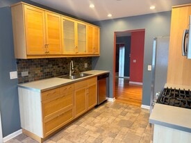 1155 Silverwood Ct in Wheeling, IL - Building Photo