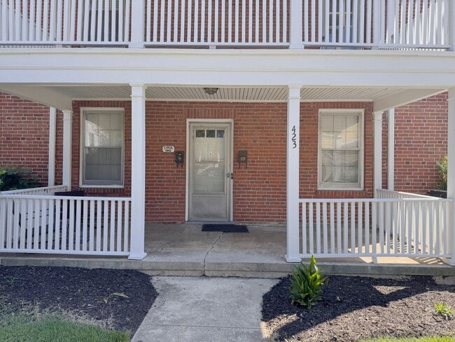 423 Chestnut St in Danville, VA - Building Photo - Building Photo