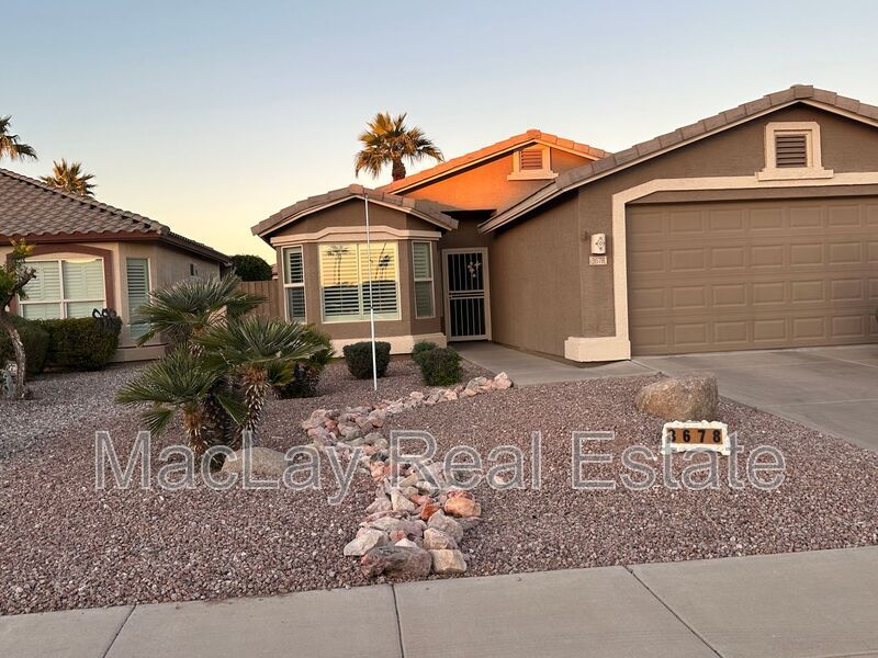 3678 E Peach Tree Dr in Chandler, AZ - Building Photo