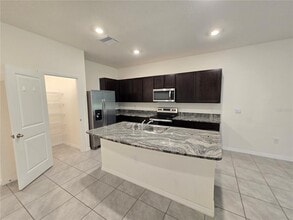 32803 Pez Landing Ln in Wesley Chapel, FL - Building Photo - Building Photo