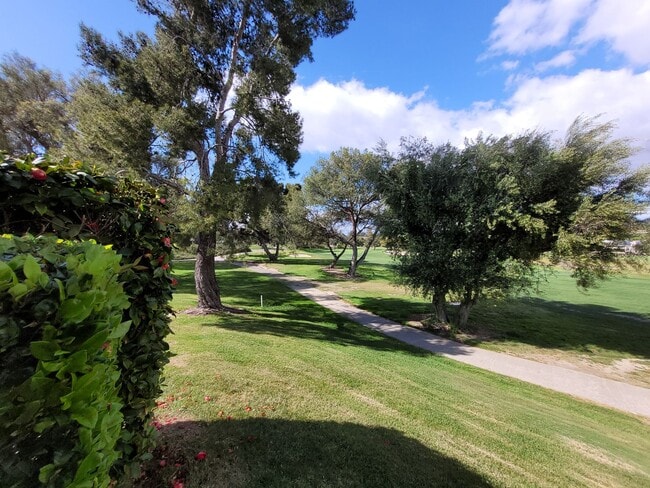 property at 12070 Caminito Campana