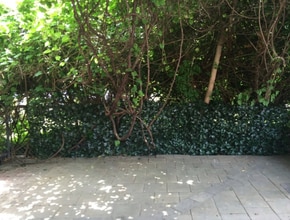 11 Meadow St in Westfield, MA - Building Photo - Building Photo