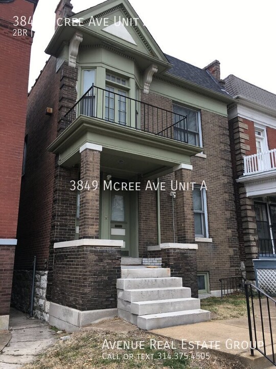 3849 McRee Ave in St. Louis, MO - Building Photo