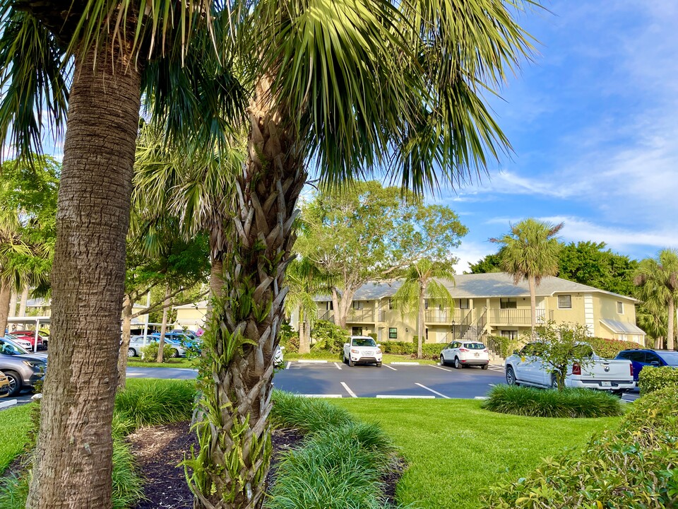 28181 Pine Haven Way in Bonita Springs, FL - Building Photo