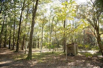 284 Sierra Rd in Jesup, GA - Building Photo - Building Photo