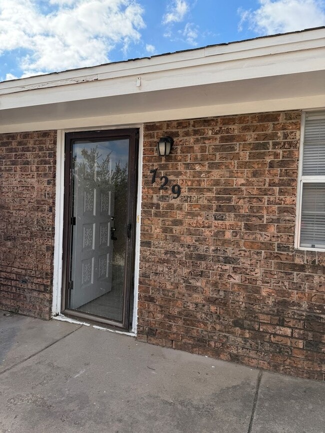 729 Silver Dr