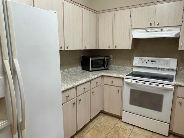 825 Mary Frank Ct in Mount Dora, FL - Building Photo - Building Photo