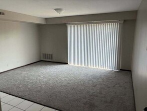 16622 Theresa Ln in Tinley Park, IL - Building Photo - Building Photo