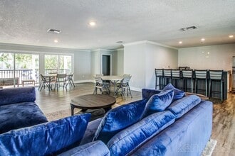 The Commons in Tampa, FL - Building Photo - Building Photo