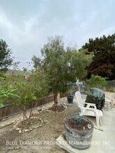 3659 Forest Rd in Oceanside, CA - Building Photo - Building Photo