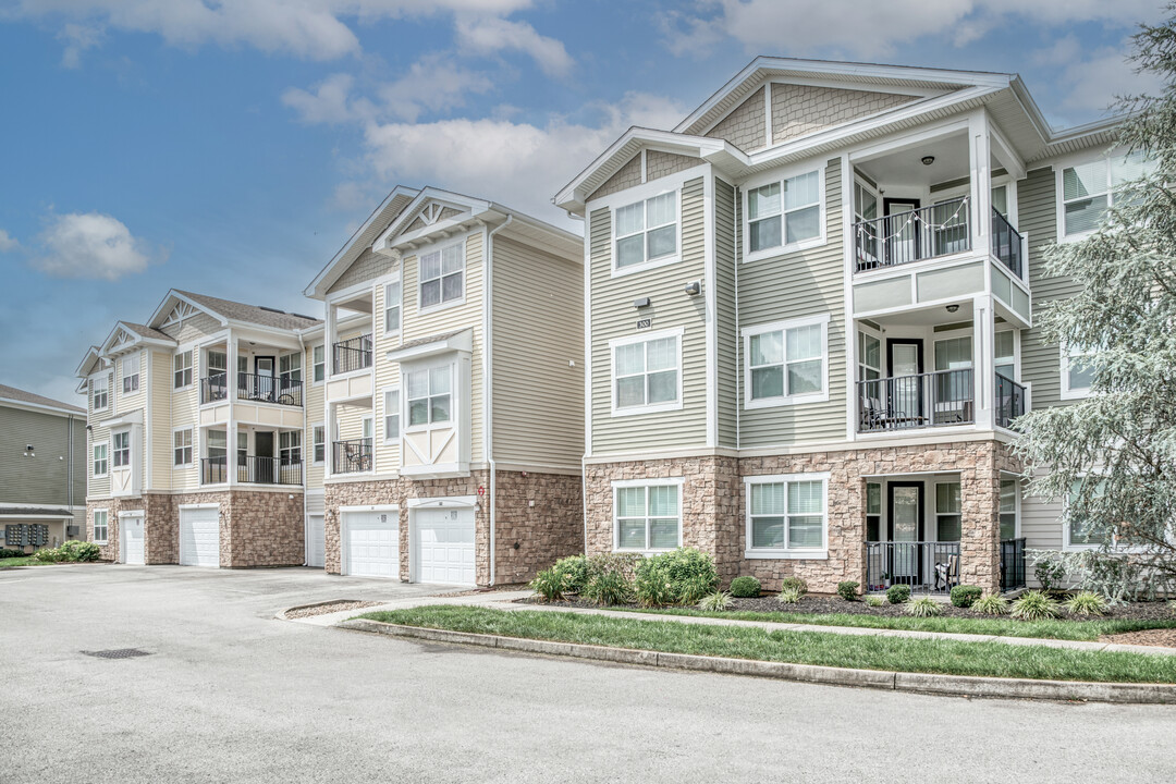 Bridgeway Apartments in Maryville, TN - Foto de edificio