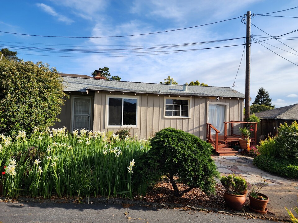 203 Morning Sun Ave in Mill Valley, CA - Building Photo