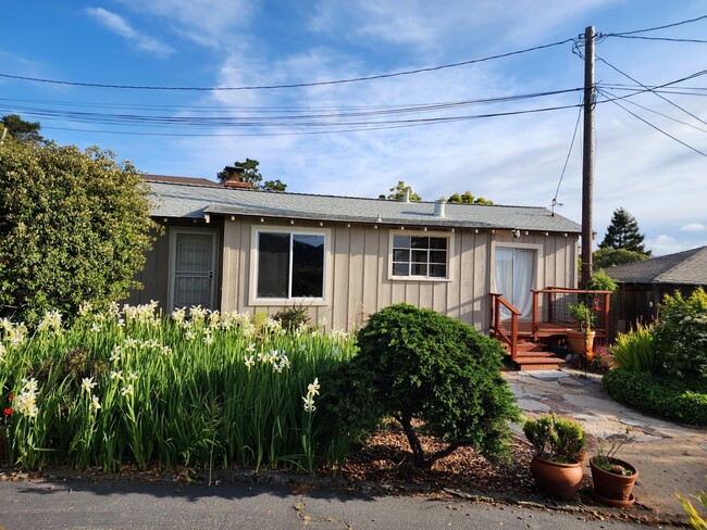 property at 203 Morning Sun Ave