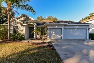 1610 White Dove Ct in Brandon, FL - Building Photo