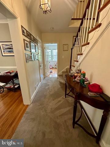 5416 Grove St in Chevy Chase, MD - Building Photo - Building Photo