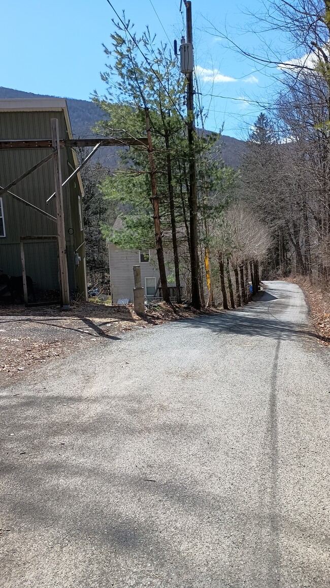 22 Hinkley Rd in Shandaken, NY - Building Photo - Building Photo