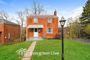 919 Elizabeth St in Pittsburgh, PA - Building Photo