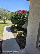 11118 Heathrow Ave in Spring Hill, FL - Building Photo - Building Photo