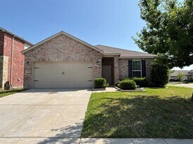 3000 Layla Creek Dr in Little Elm, TX - Building Photo