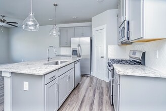 207 Broad Banyan Ct in Greer, SC - Building Photo - Building Photo