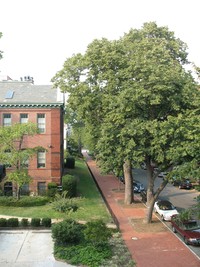 400 5th St NW in Washington, DC - Building Photo - Building Photo